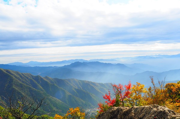 秦岭醉秋色