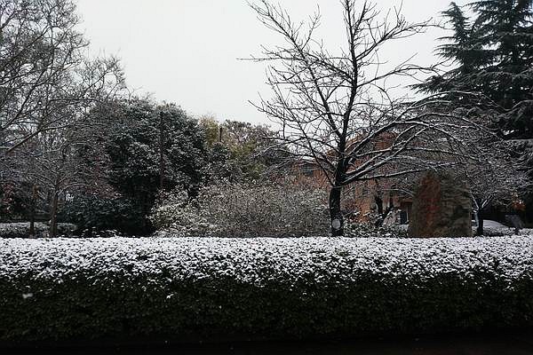 初雪